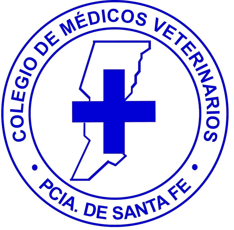 logo colegio